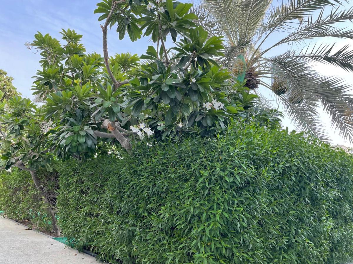 Al Corniche Hotel Sharjah Exterior foto